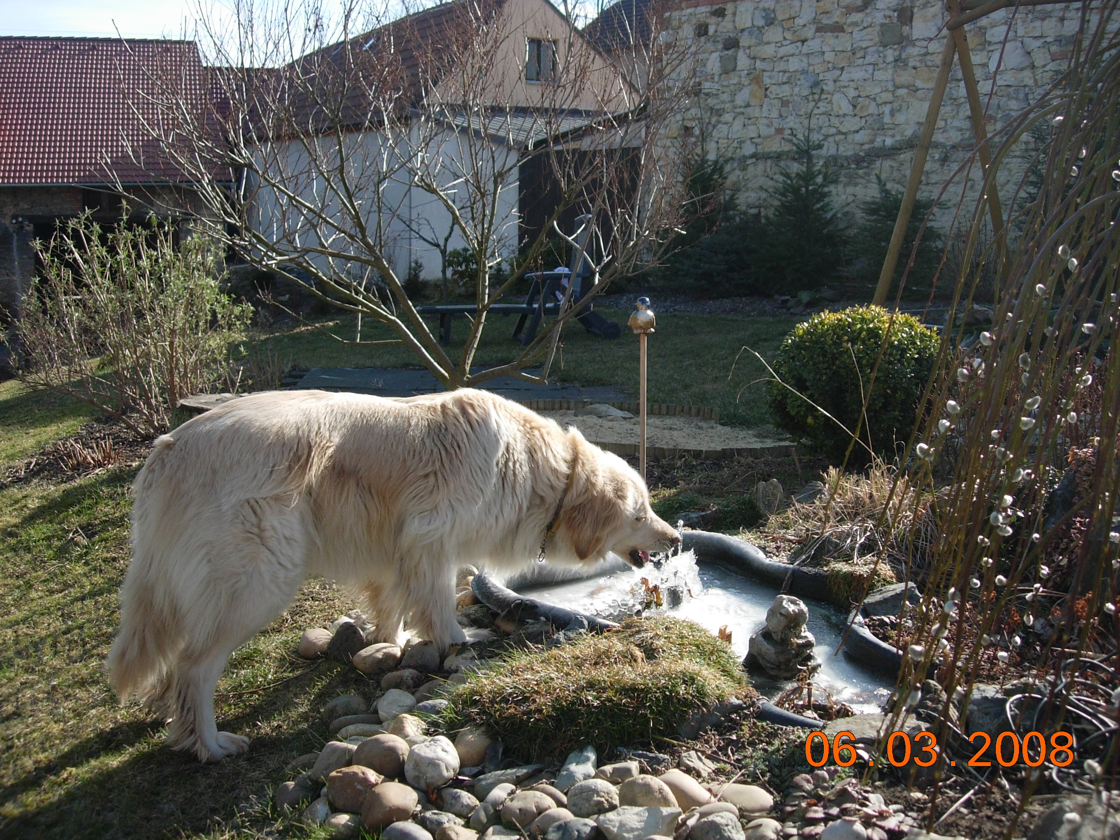 DSCN2448.JPG