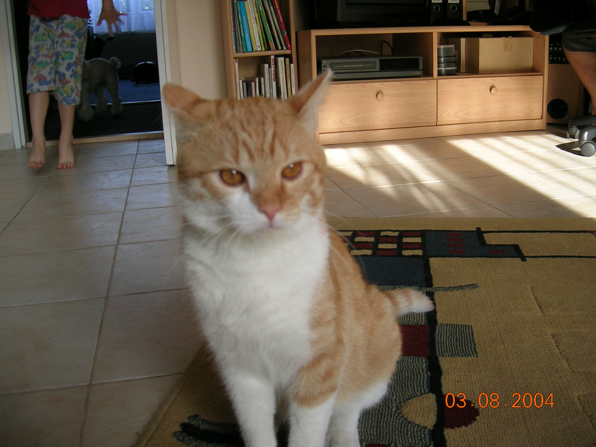 DSCN1392.JPG
