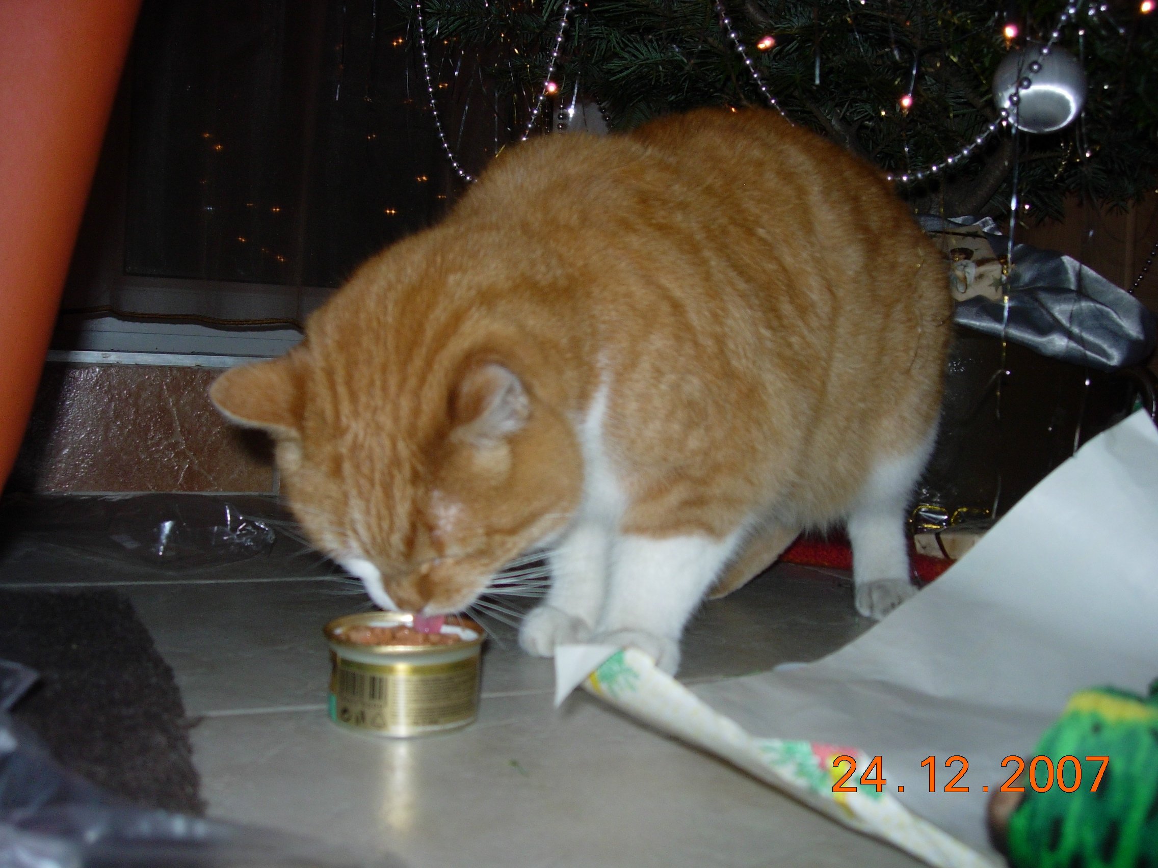 DSCN2330.JPG