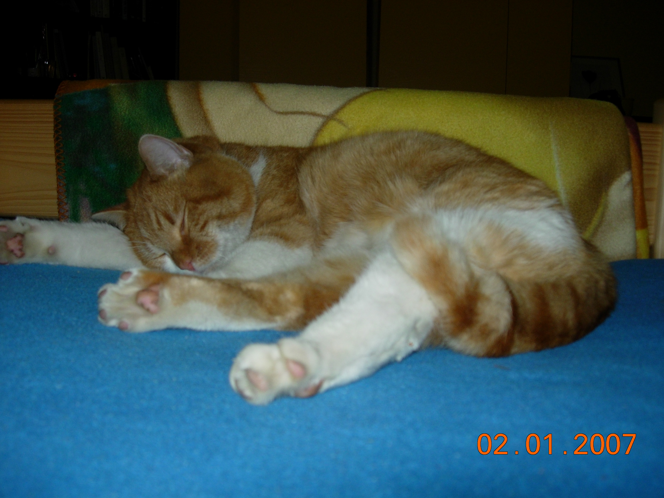 DSCN0795.JPG