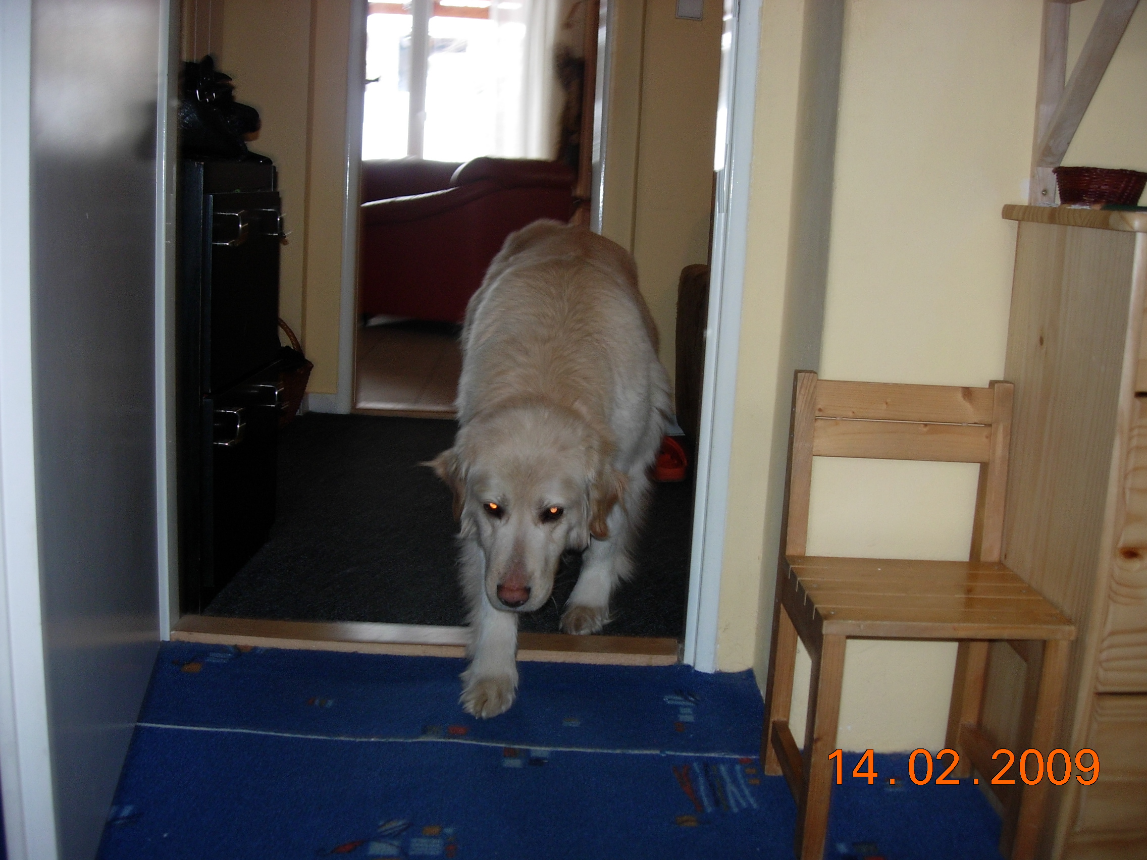 DSCN3226.JPG
