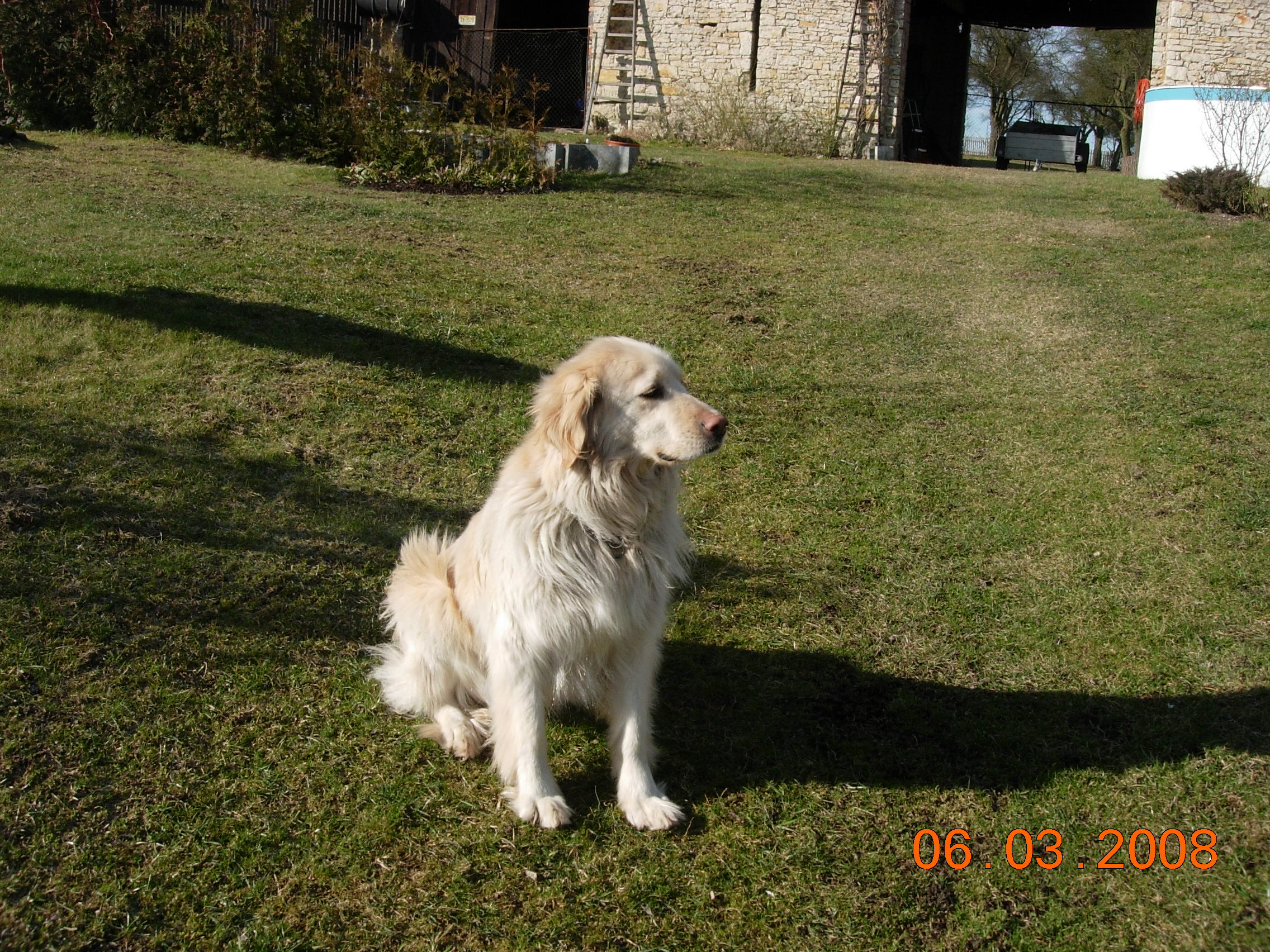 DSCN2455.JPG