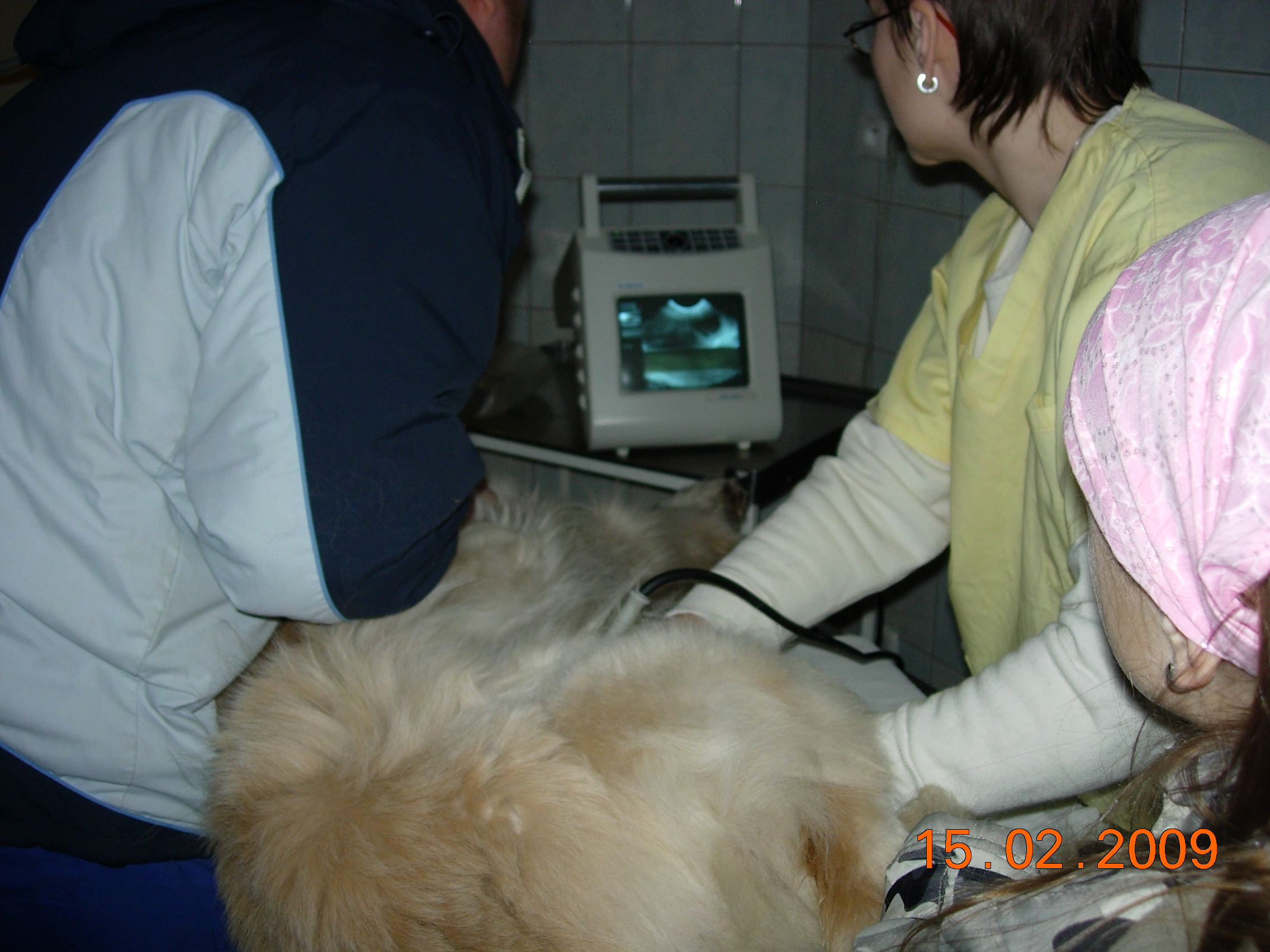 DSCN3240.JPG