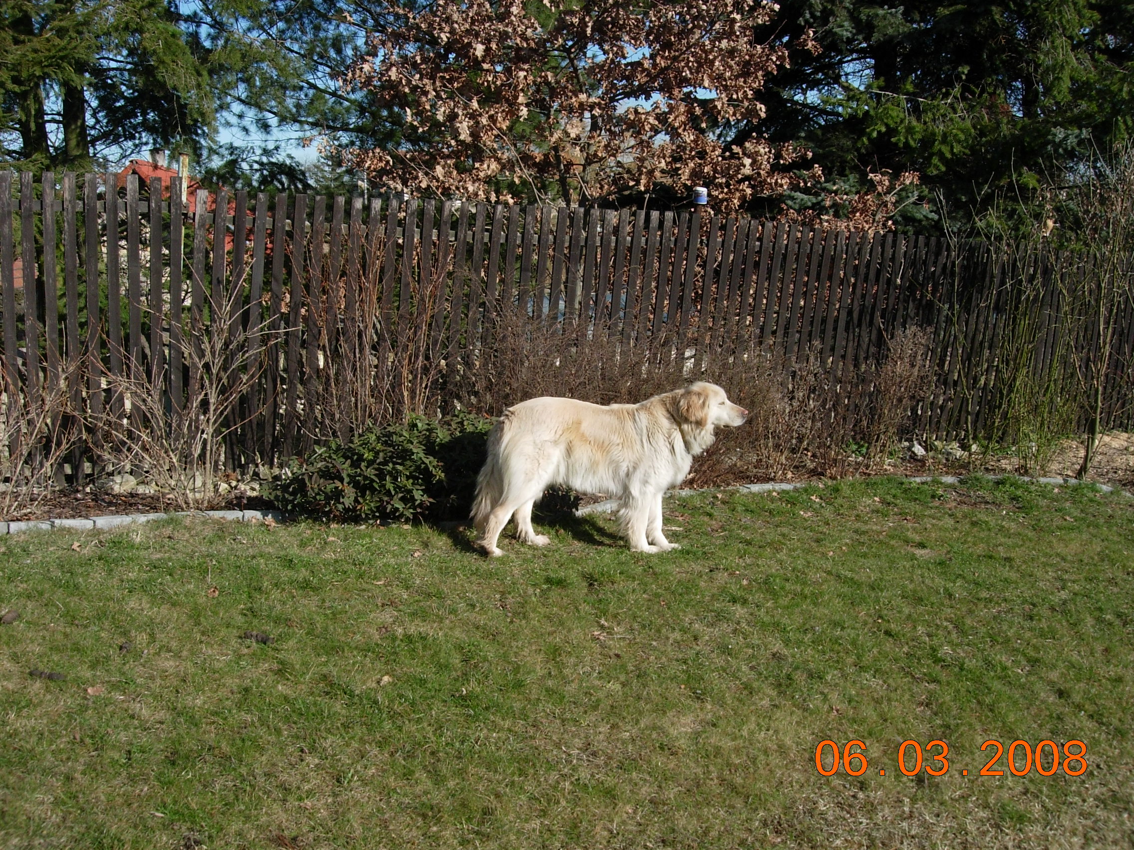 DSCN2456.JPG