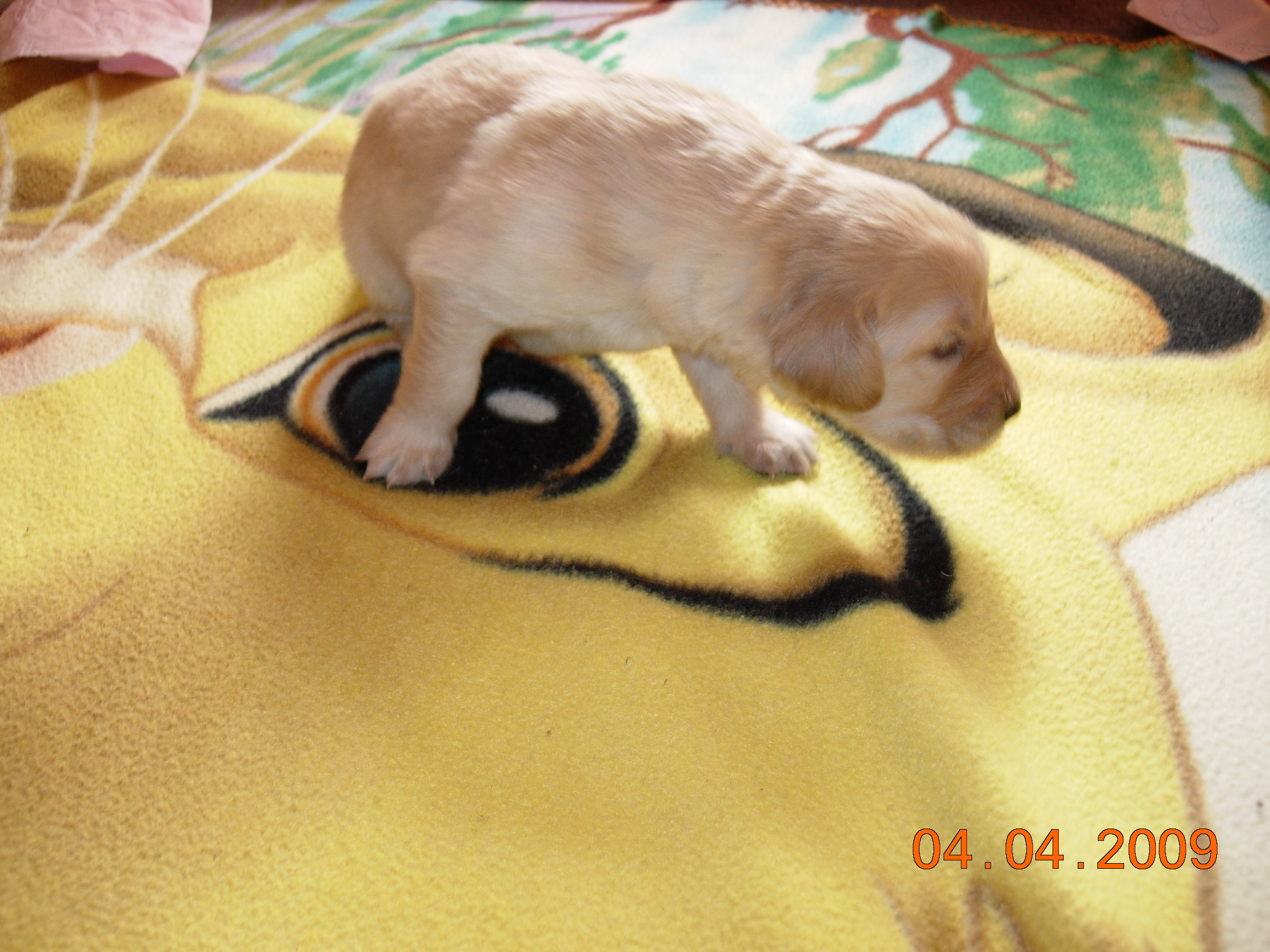 DSCN3478.JPG