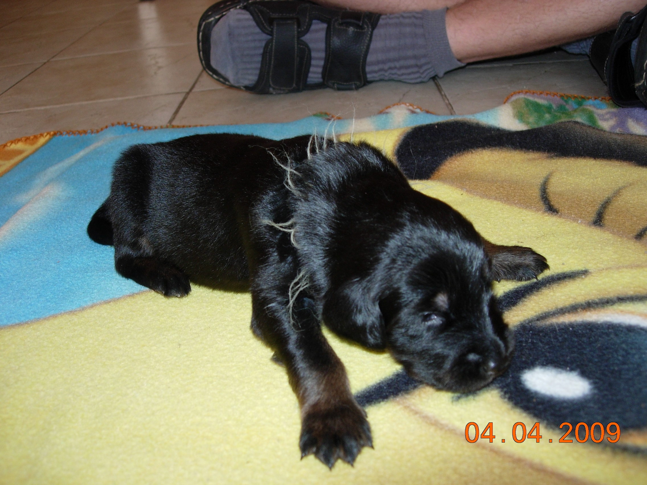DSCN3487.JPG