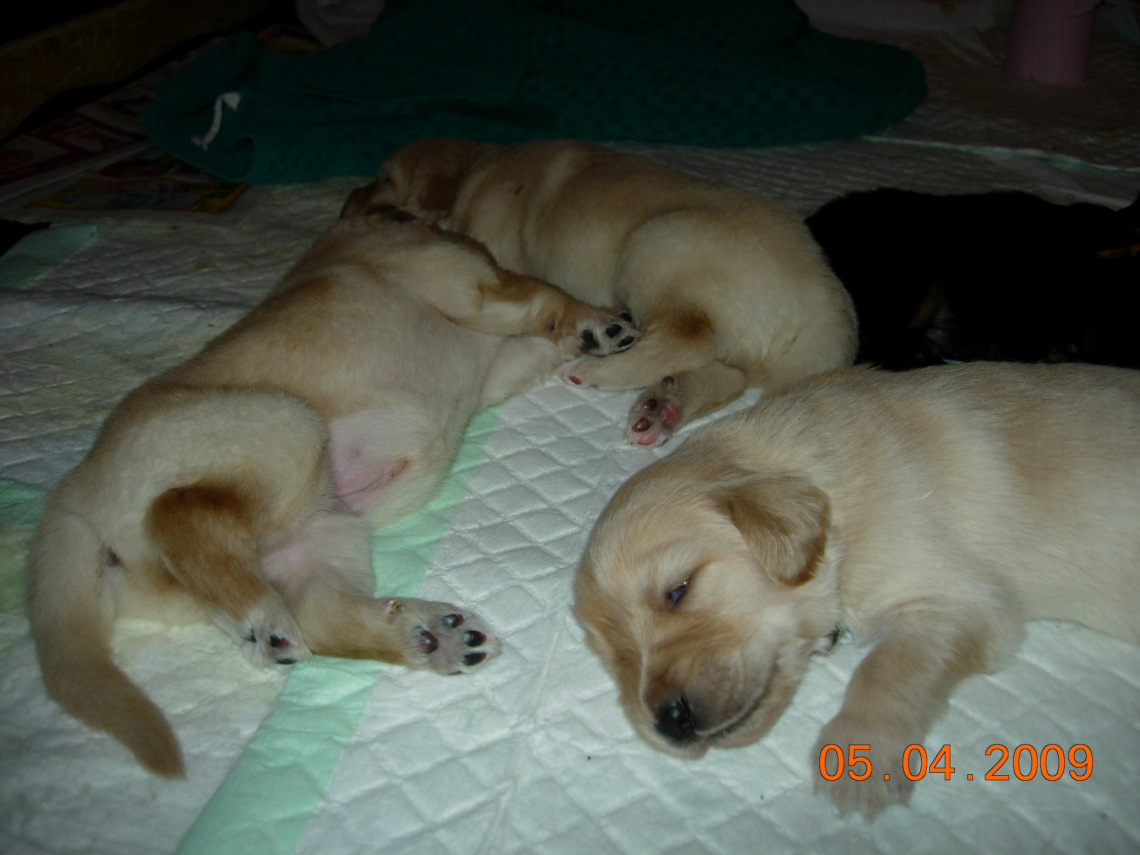 DSCN3528.JPG