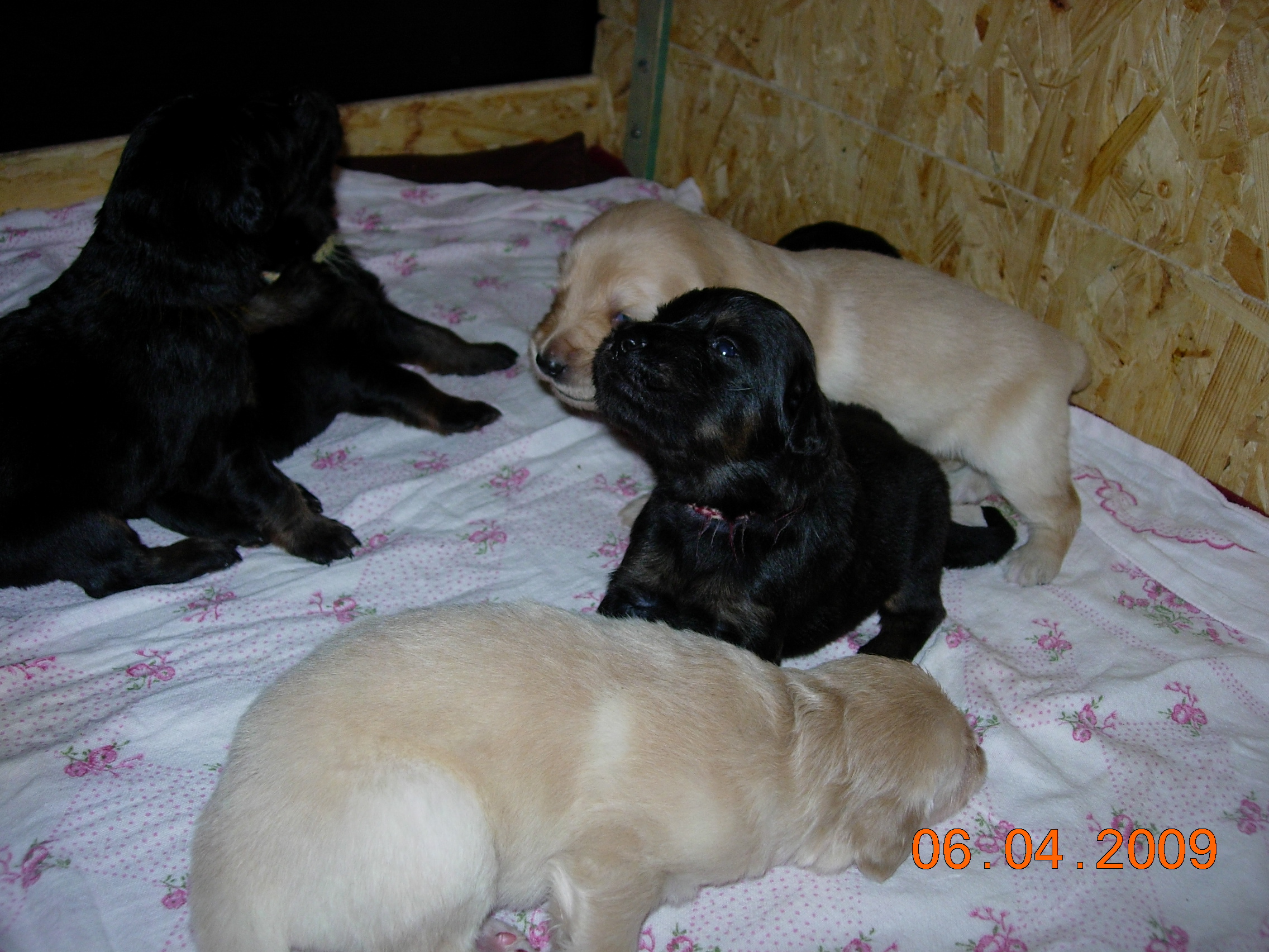 DSCN3530.JPG