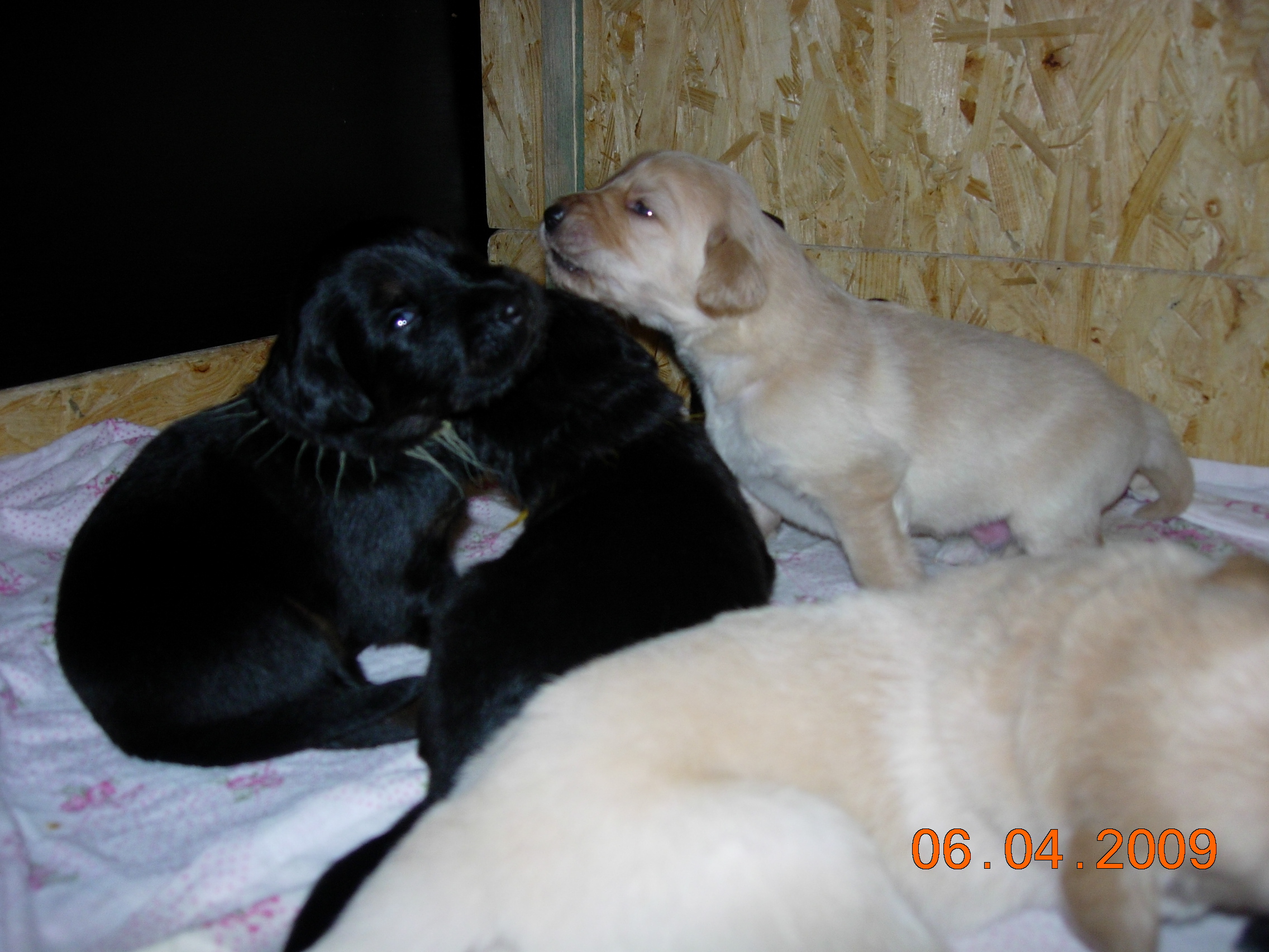 DSCN3531.JPG