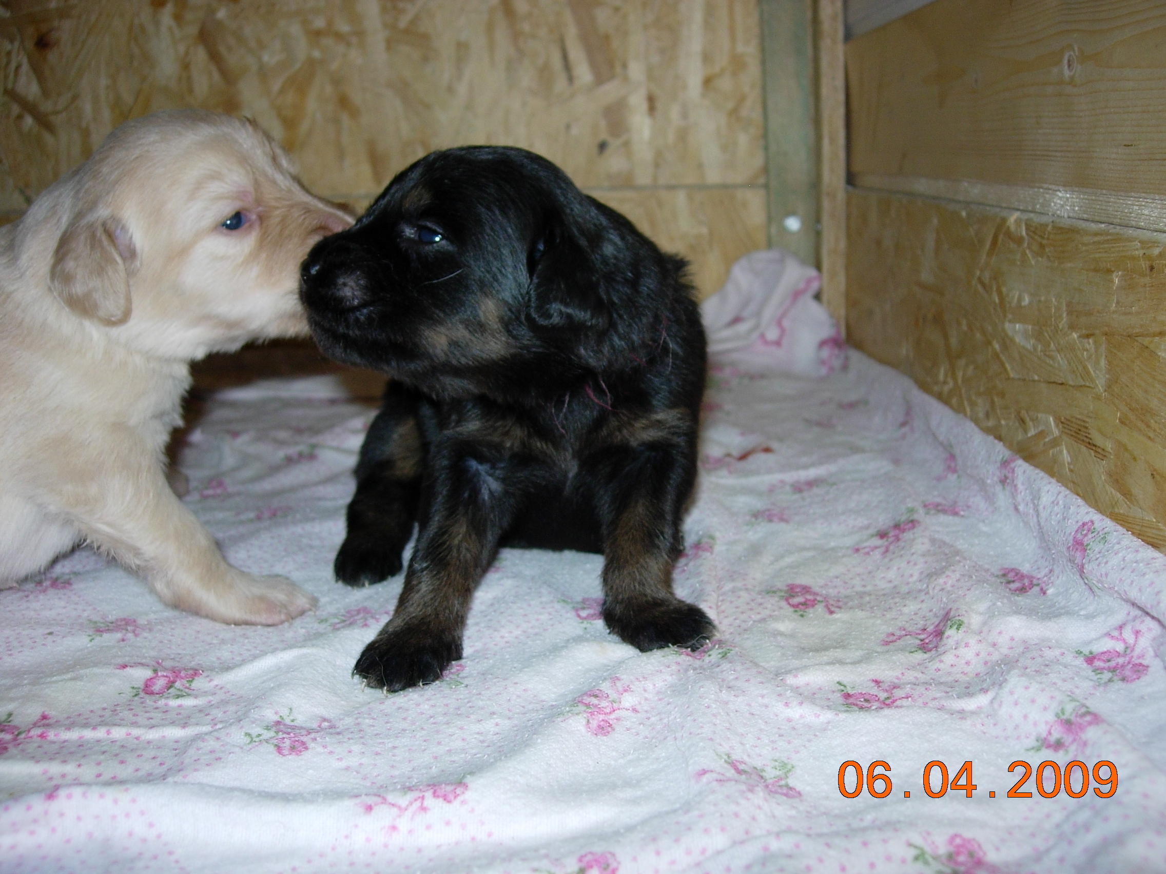DSCN3532.JPG