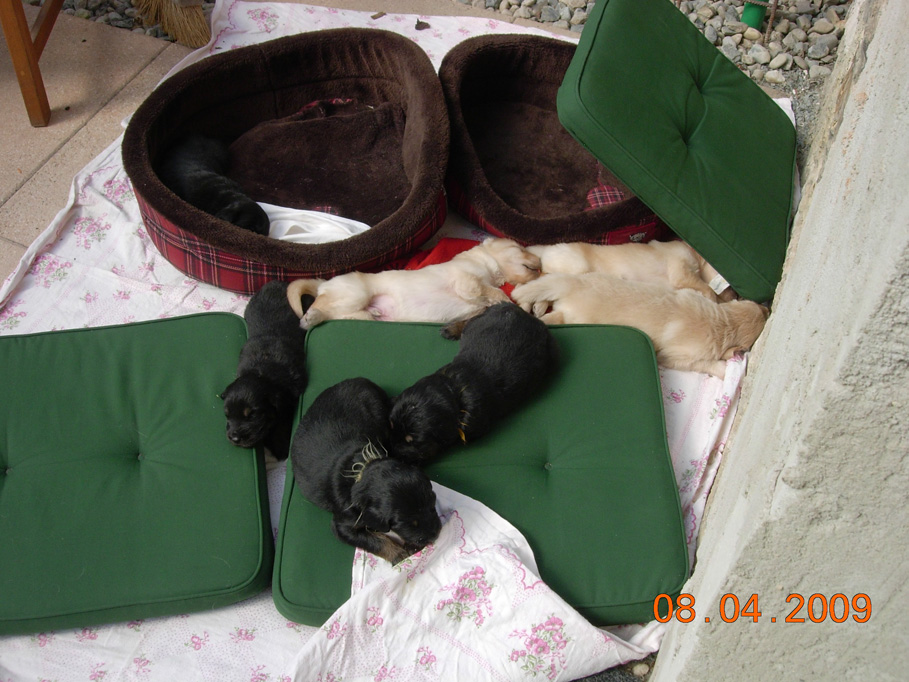 odpoledni siesta.jpg