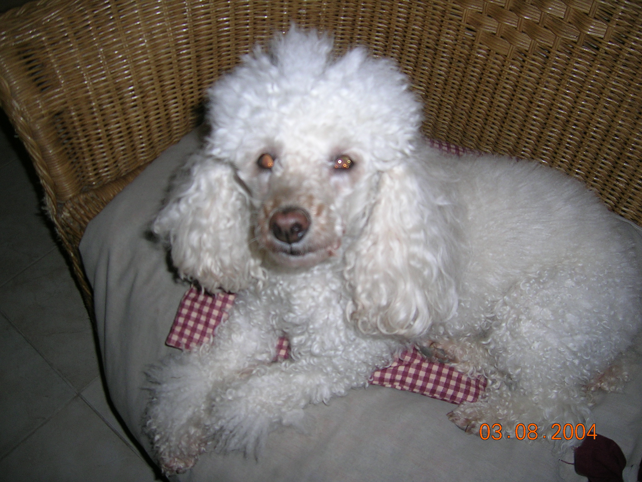 DSCN1409.JPG